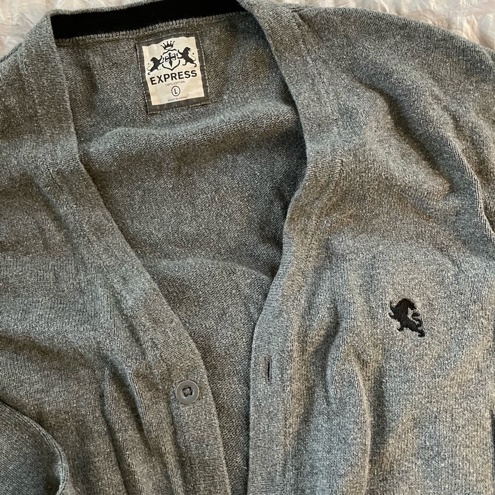 Express Cardigan Sweater - Picture 2 of 2